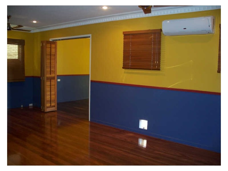 19 Camelia Street, Cannon Hill QLD 4170