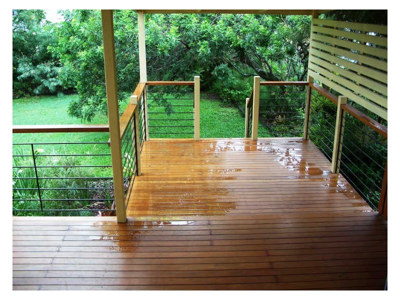 19 Camelia Street, Cannon Hill QLD 4170