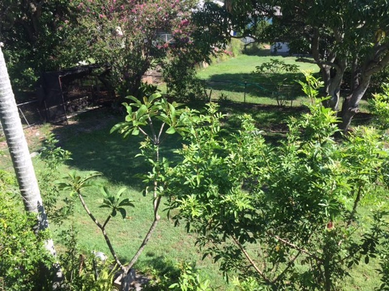 17 Walter Street, Murarrie QLD 4172