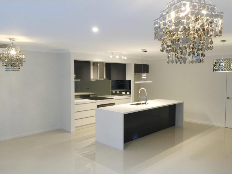 59 Shrapnel Road, Cannon Hill QLD 4170