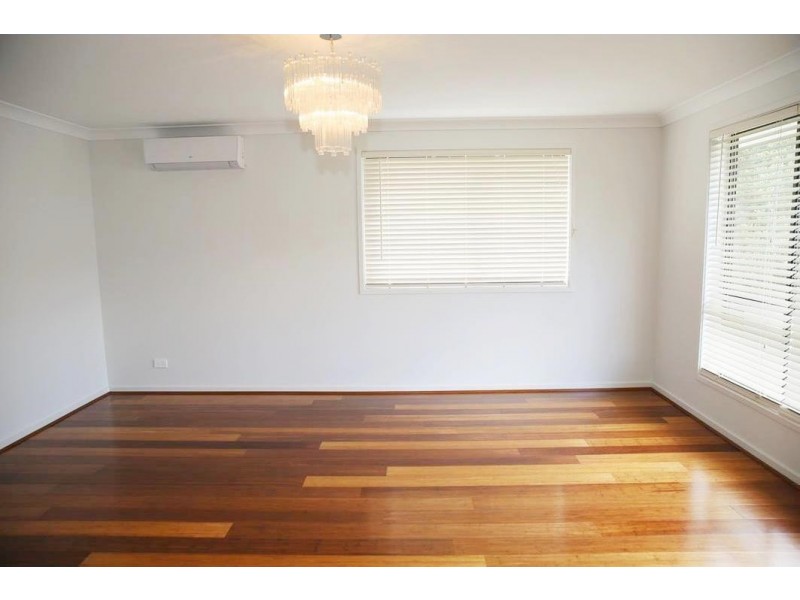 59 Shrapnel Road, Cannon Hill QLD 4170