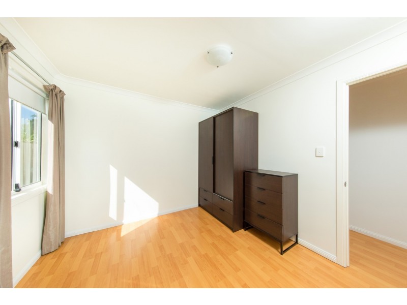 33 Grenade Street, Cannon Hill QLD 4170