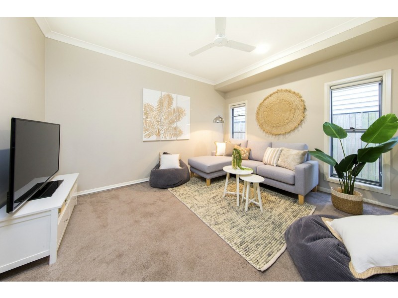 21 Grenade Street, Cannon Hill QLD 4170