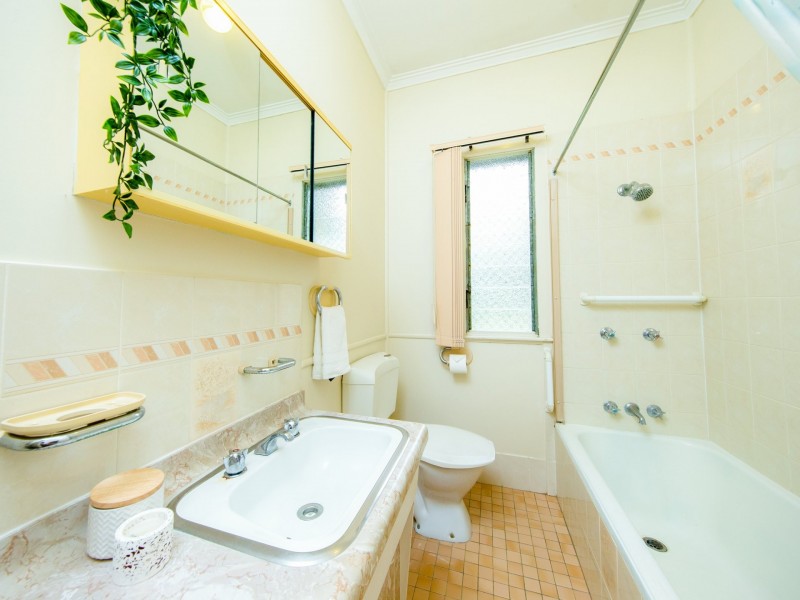 39 Dorothea Street, Cannon Hill QLD 4170