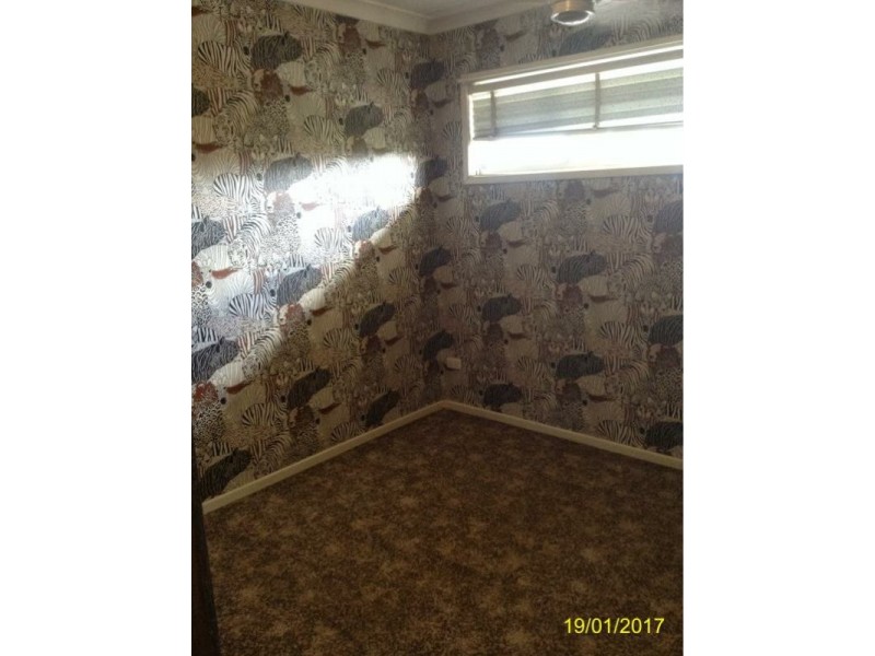 1890 Creek Road, Cannon Hill QLD 4170