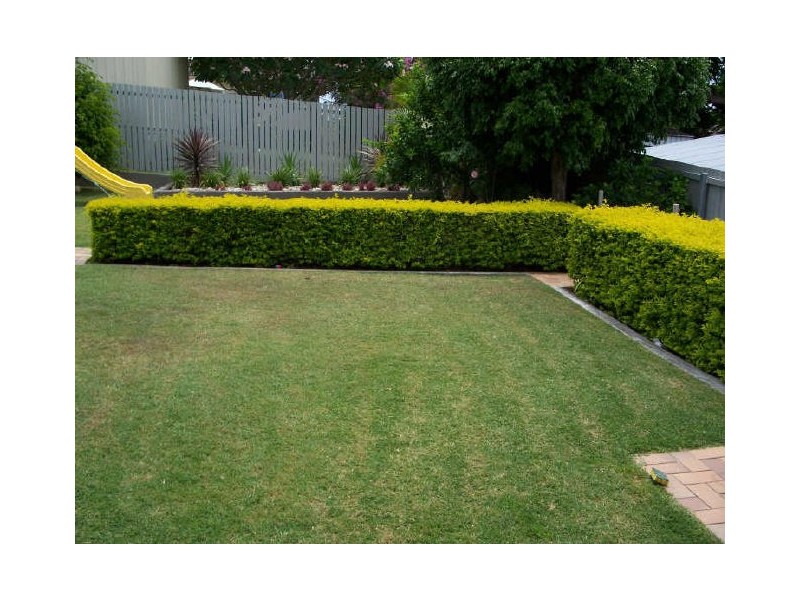 158 Chataway Str, Carina Heights QLD 4152