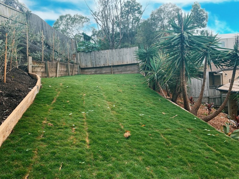 51 Emerald Street, Murarrie QLD 4172
