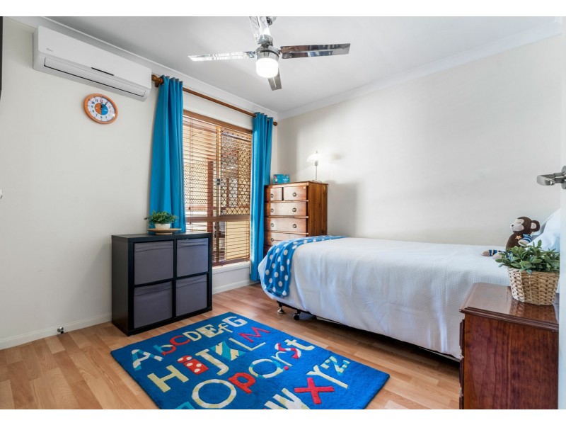20 Macleay Crescent, Tingalpa QLD 4173