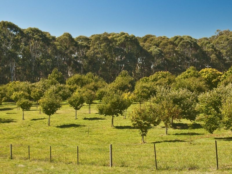 680 Stanley Road, Stanley VIC 3747