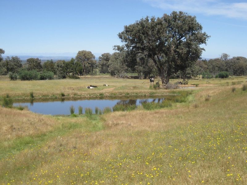 Lot 9 Oxenbury Lane, Everton Upper VIC 3678