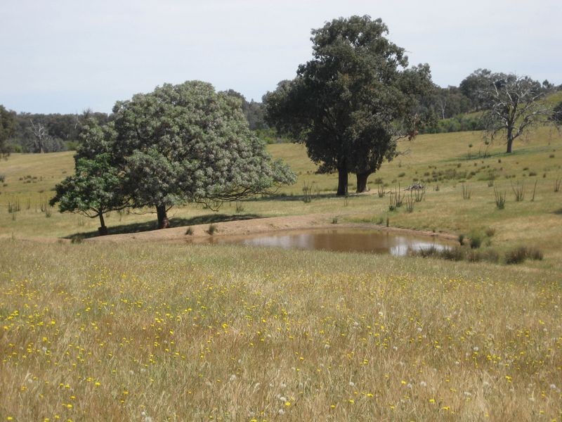 Lot 9 Oxenbury Lane, Everton Upper VIC 3678