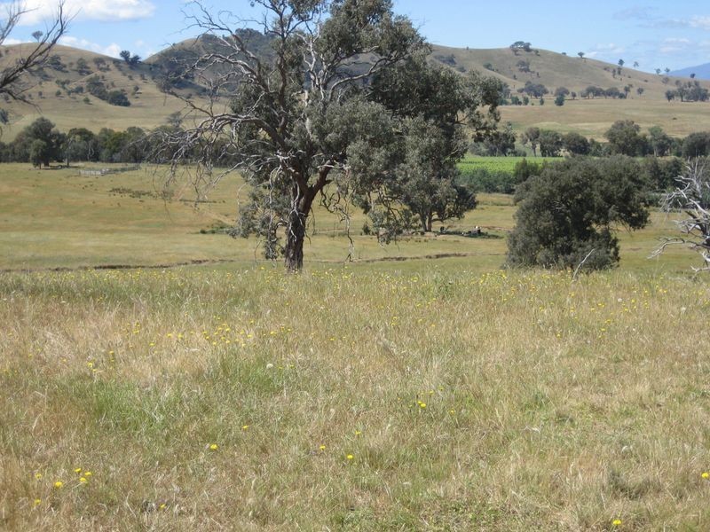 Lot 9 Oxenbury Lane, Everton Upper VIC 3678