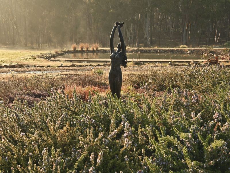 60 Lower Nine Mile Road, Stanley VIC 3747