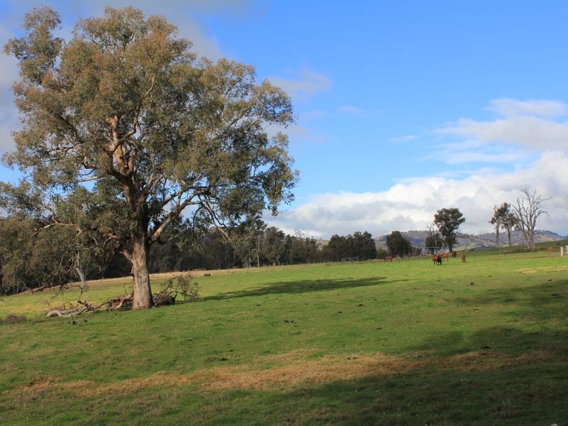 1 & 3/411 Whytes Road, Baranduda VIC 3691