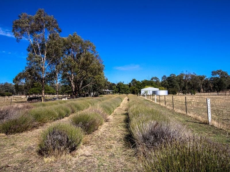 353 Toveys Road, Chiltern VIC 3683