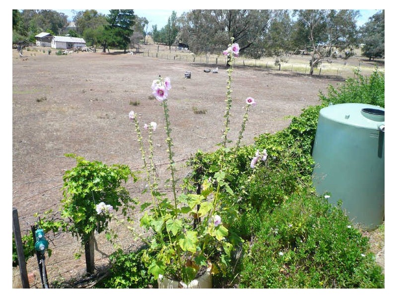 339 Whitepost Road, Everton VIC 3678