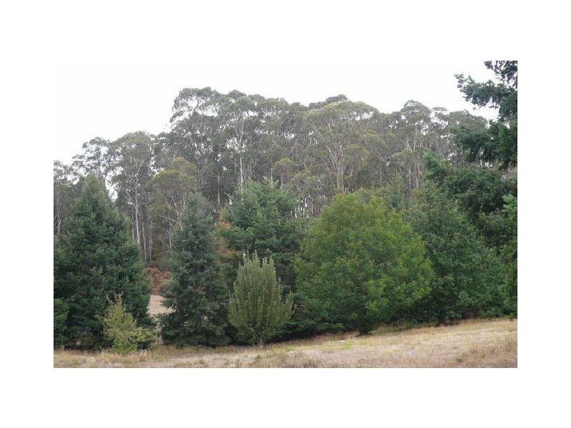 15 Higgins Lane, Stanley VIC 3747