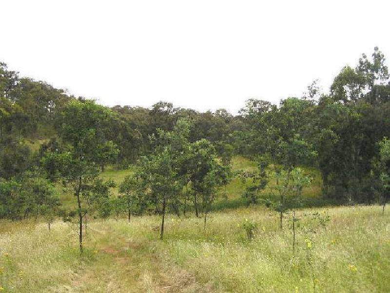 643 Diffey Road, Everton VIC 3678