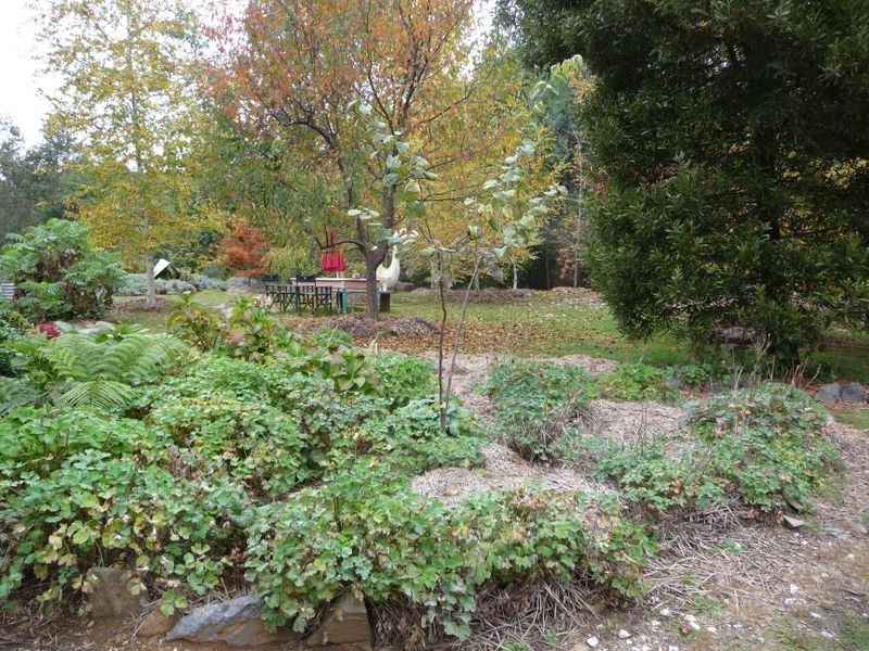 52 Pioneer Road, Stanley VIC 3747