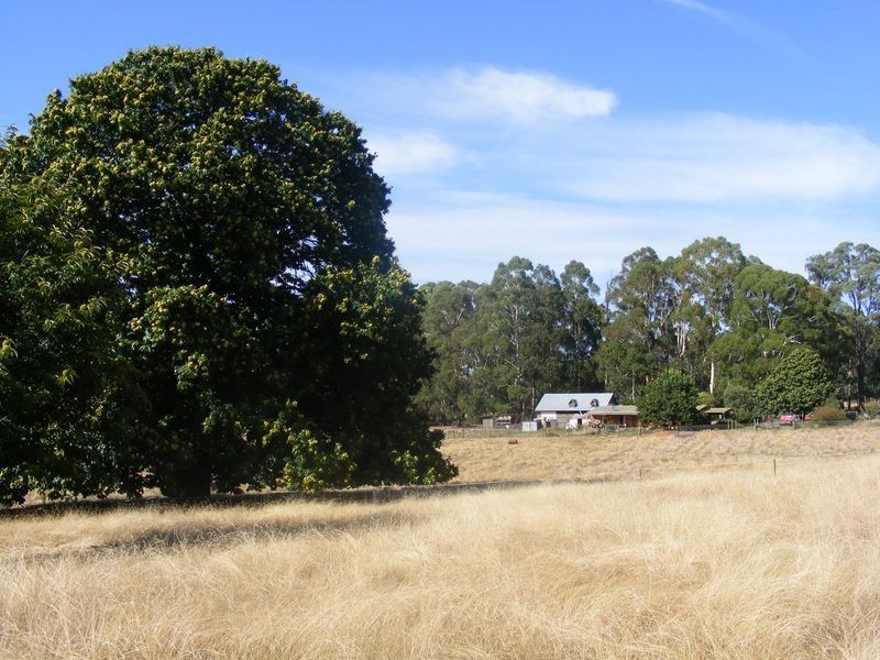 11 Circular Creek Road, Stanley VIC 3747