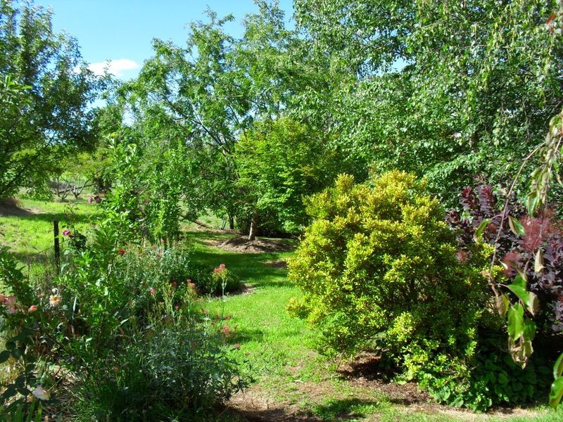 98 Mt Stanley Rd, Stanley VIC 3747