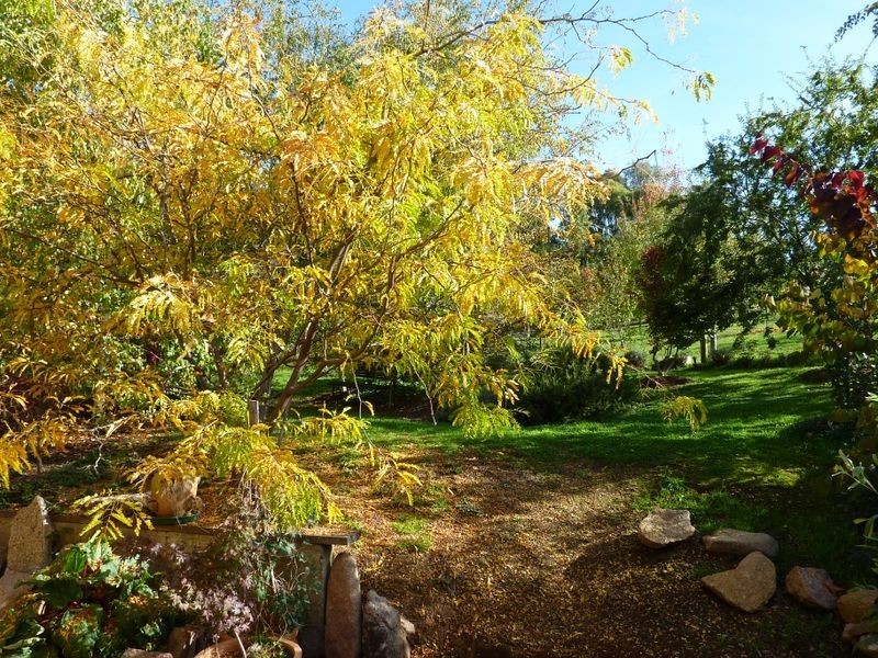 98 Mt Stanley Rd, Stanley VIC 3747