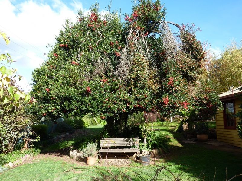 98 Mt Stanley Rd, Stanley VIC 3747