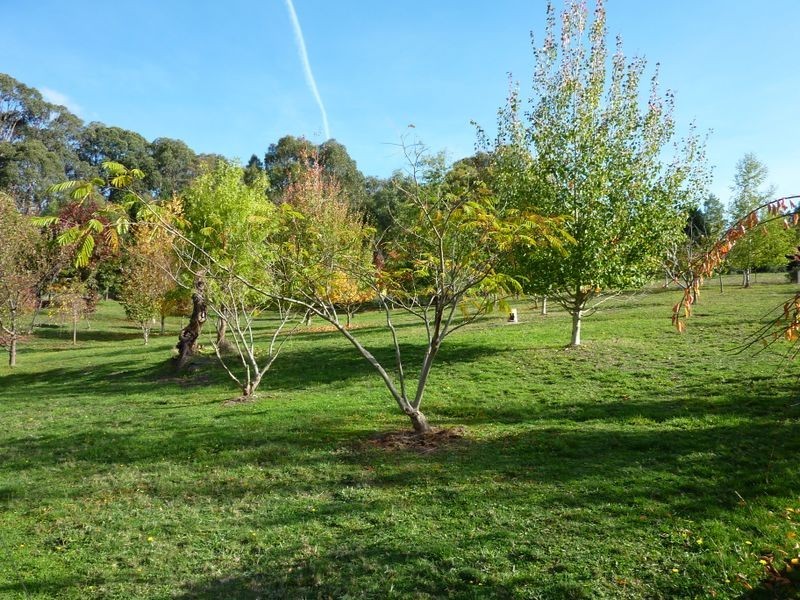 98 Mt Stanley Rd, Stanley VIC 3747