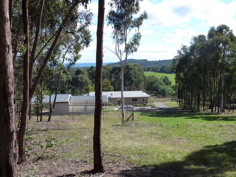 206 Old Stanley Road, Stanley VIC 3747