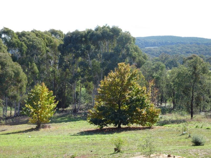 206 Old Stanley Road, Stanley VIC 3747