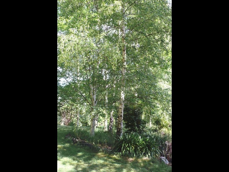 793 Stanley Rd, Stanley VIC 3747