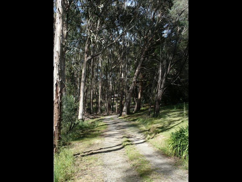 793 Stanley Rd, Stanley VIC 3747