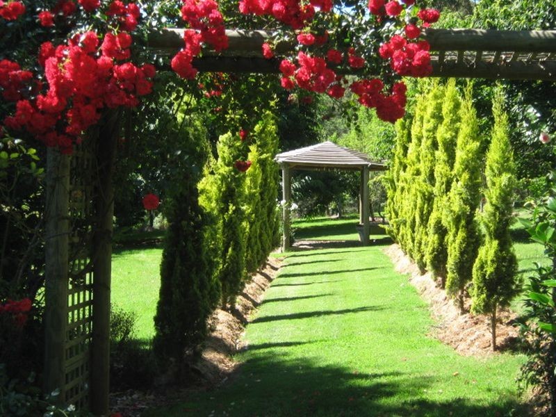 104 Mt Stanley Road, Stanley VIC 3747