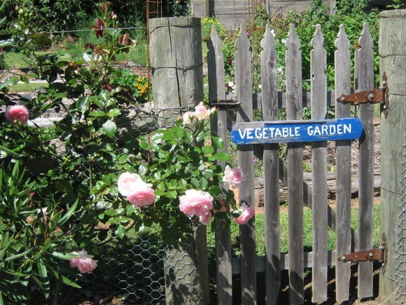 104 Mt Stanley Road, Stanley VIC 3747