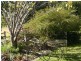19 Peveril Street TINONEE, Taree NSW 2430