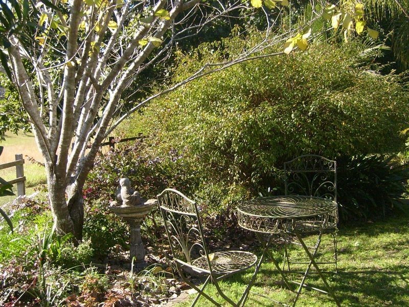 19 Peveril Street TINONEE, Taree NSW 2430