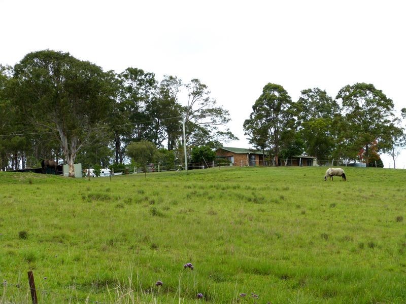 5256 Bucketts Way, Burrell Creek NSW 2429