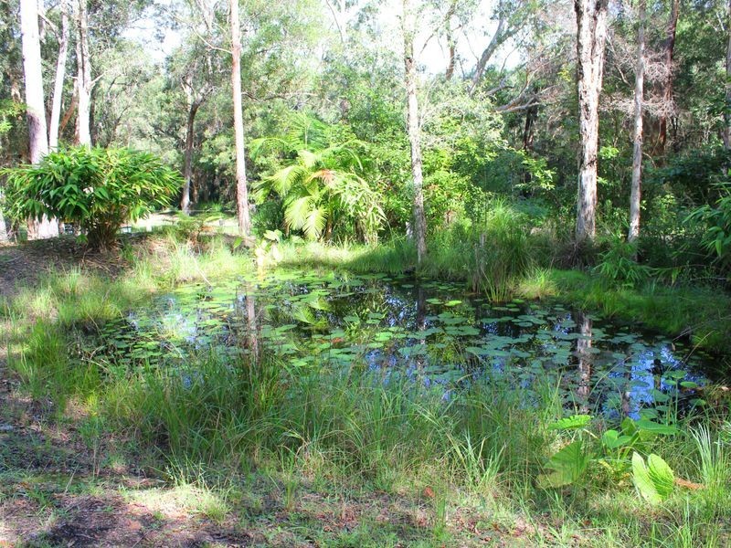 31 Gibsons Road, Coopernook NSW 2426