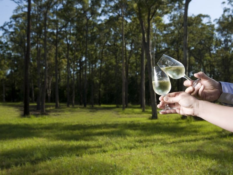 Lots 2 & 5 May Dries Close, Cundletown NSW 2430
