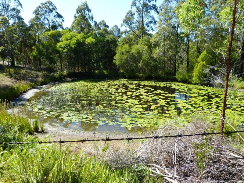 20 Kiwarrak Drive, Rainbow Flat NSW 2430