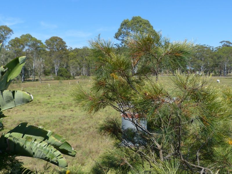 20 Broadoaks Road, Bohnock NSW 2430