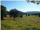3694 The Bucketts Way, Krambach NSW 2429
