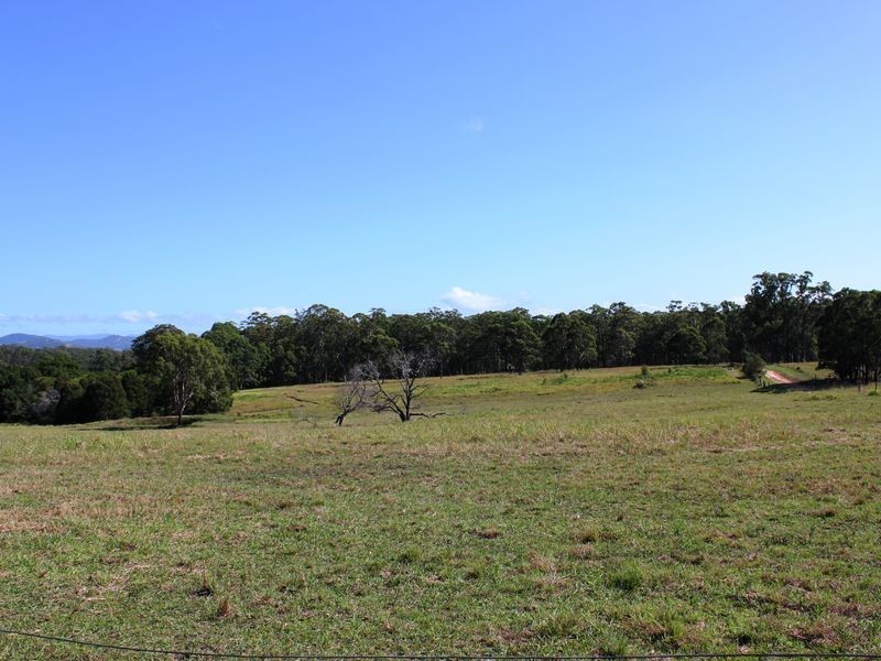 347 Careys Road, Tinonee NSW 2430