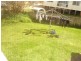 Taree NSW 2430