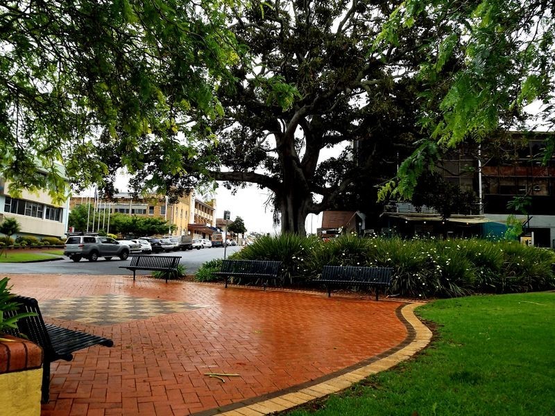 4 Pulteney Street, Taree NSW 2430