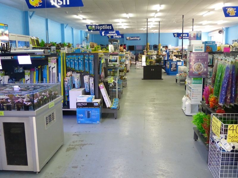19 Elizabeth Avenue, Taree NSW 2430