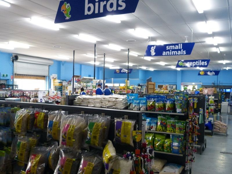 19 Elizabeth Avenue, Taree NSW 2430