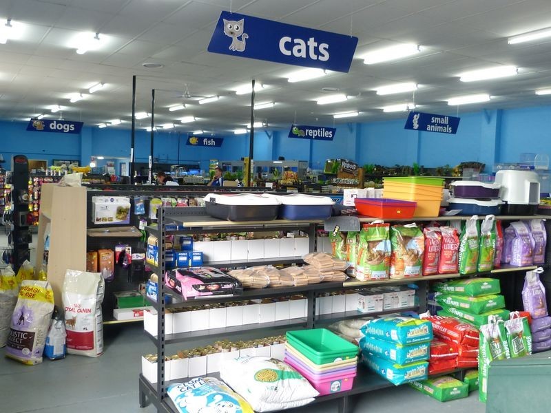19 Elizabeth Avenue, Taree NSW 2430