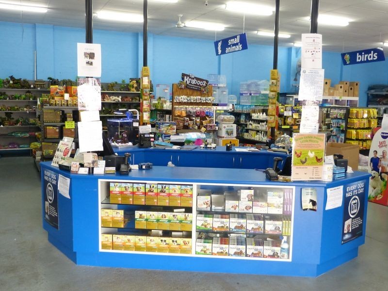 19 Elizabeth Avenue, Taree NSW 2430