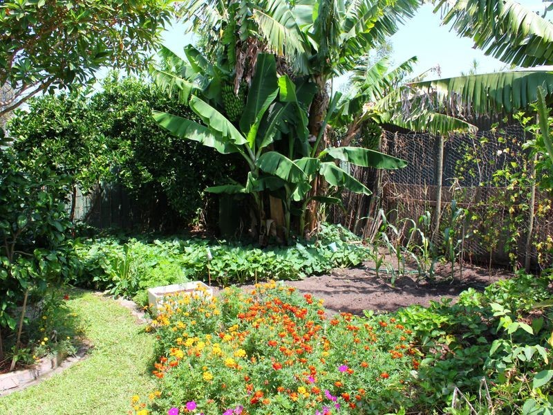 74 Princes Street, Cundletown NSW 2430